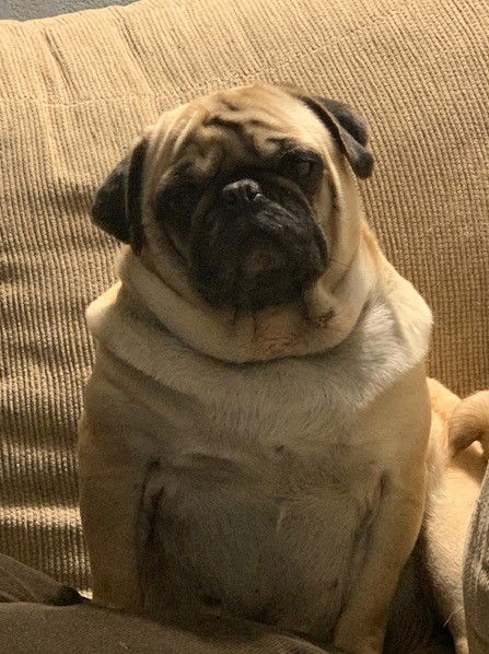 Beau