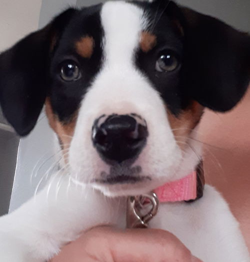 Quinn