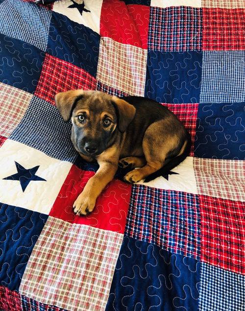 Rosie