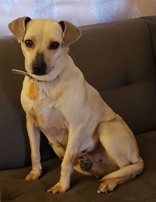 Winnie