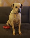 Winnie