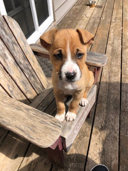 Zeke