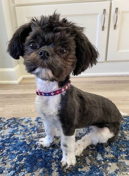 Peggy