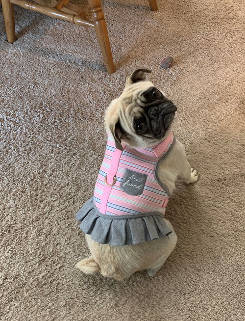 Peppa