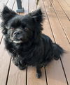 Bailey