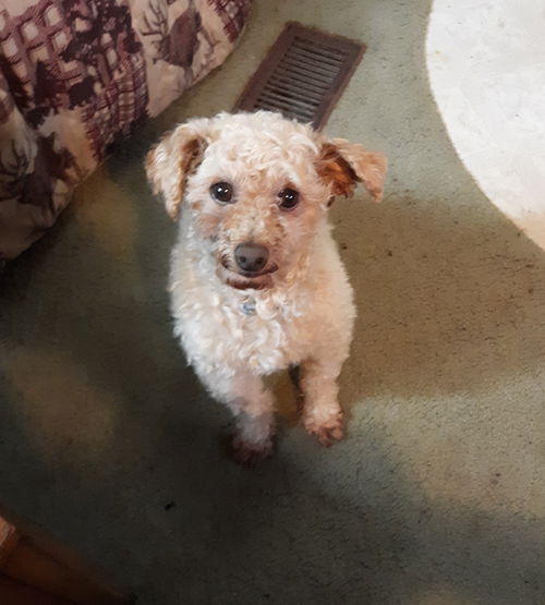 Joel. ( missing from adopter)