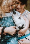 Perdita