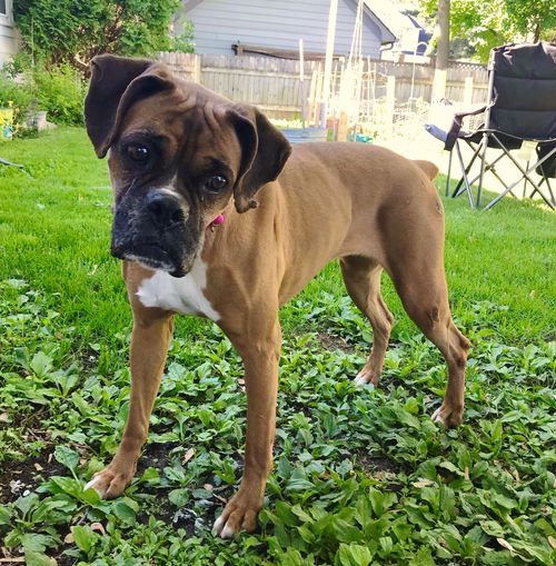 Fiona