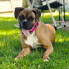 Fiona