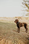 Ralph