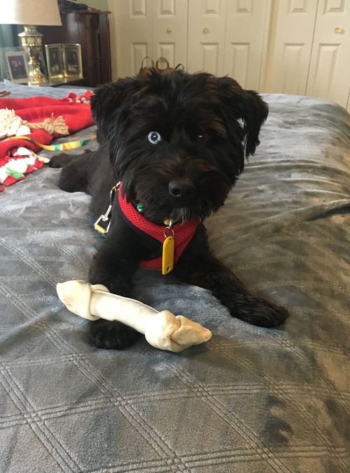 Logan