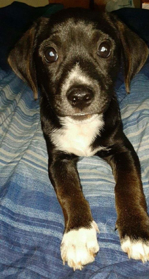 Walter