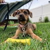 Thelma Lou