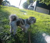 Bailey
