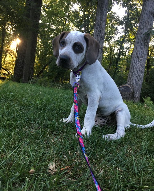 Maggie
