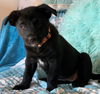 Lucy