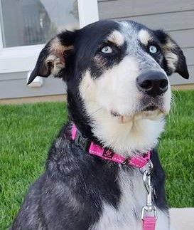 Maggie