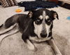 Maggie