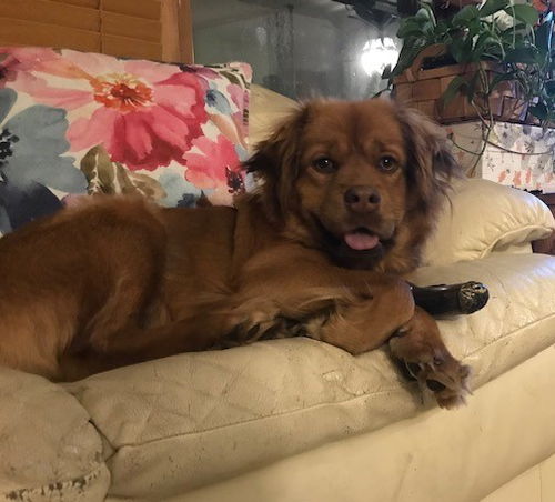Rosie