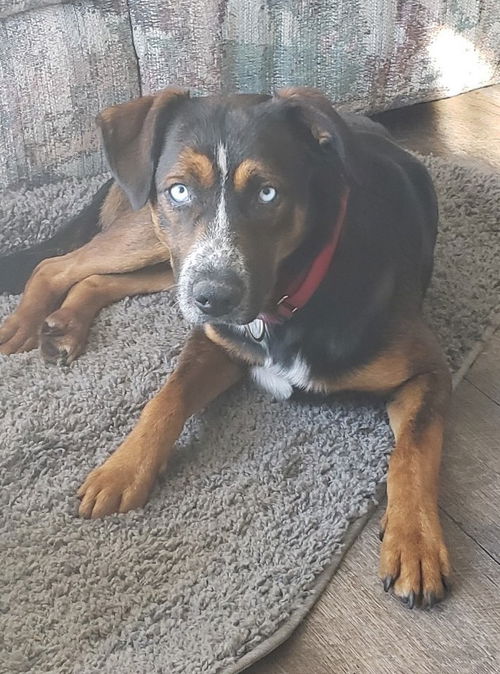 Zeke