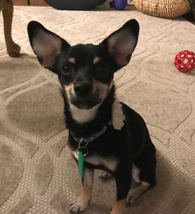 Zoey