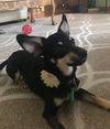 Zoey