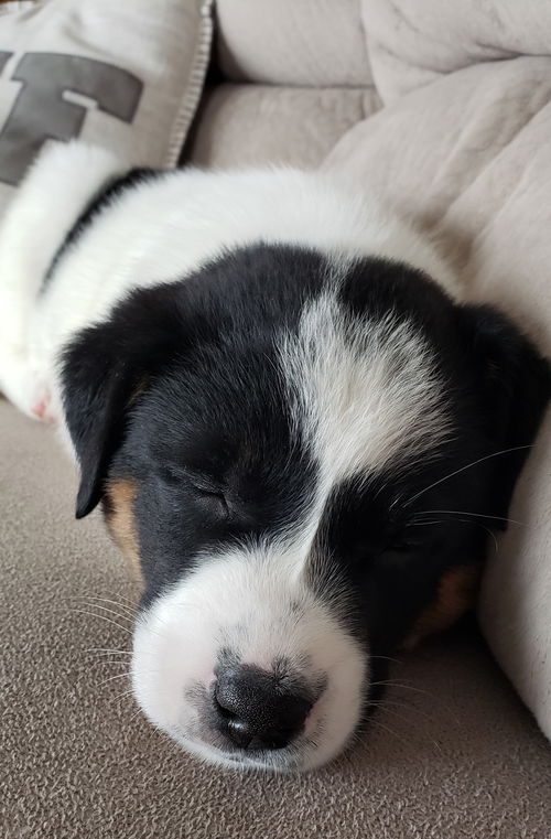 Hera