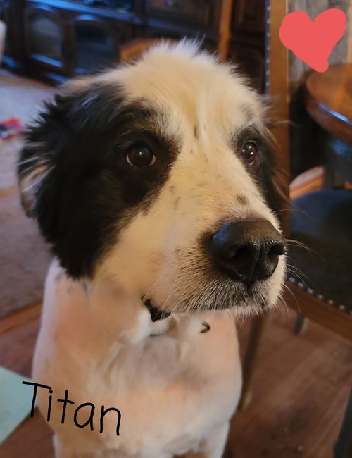 Titan