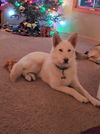 Sadie Marie