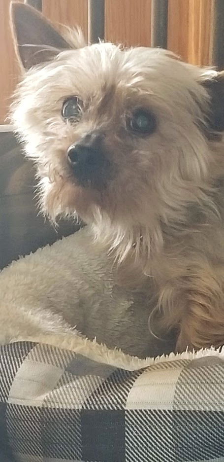Lennon