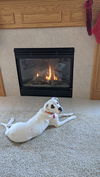 Bella