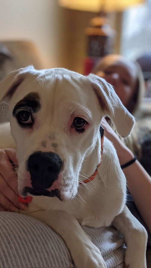 Bella