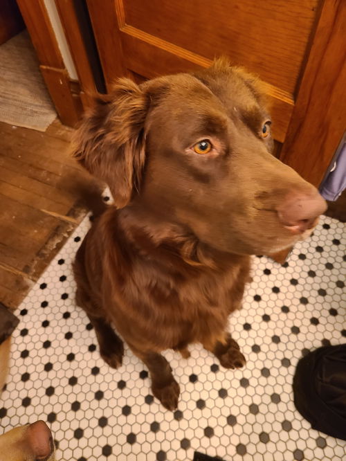 Eli