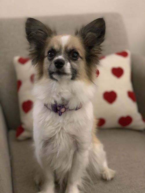 Tammy