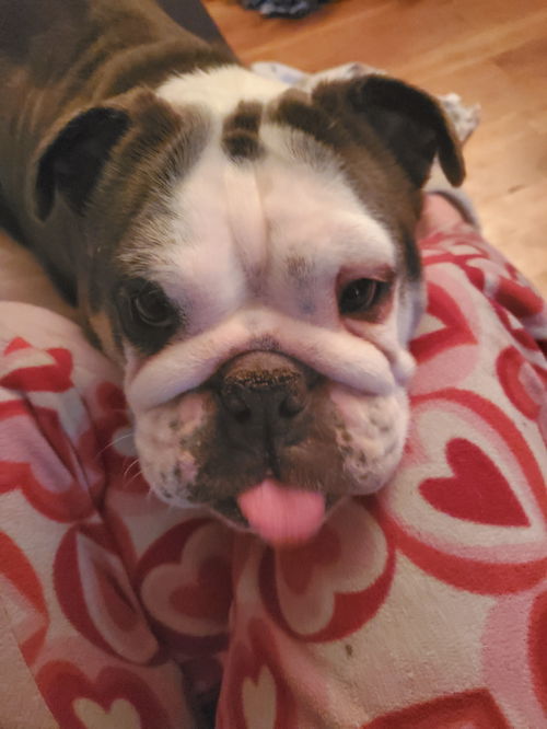 Penny