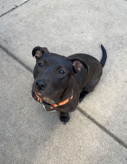 Luna Lynn