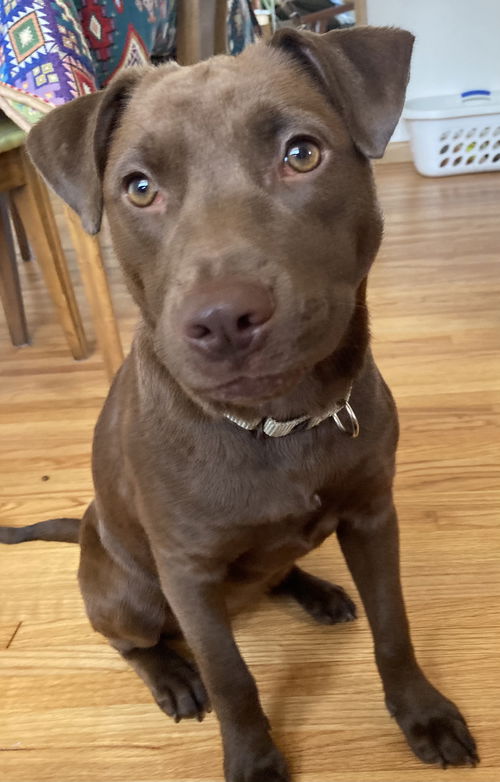 Daisy Lou