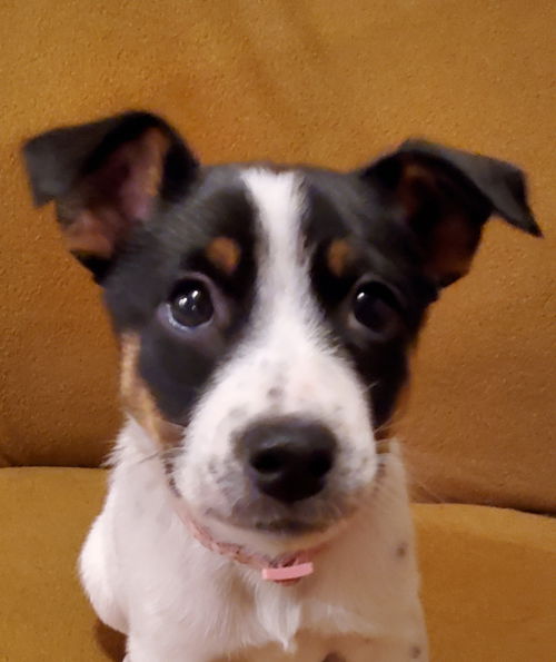 Matilda