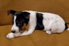 Matilda