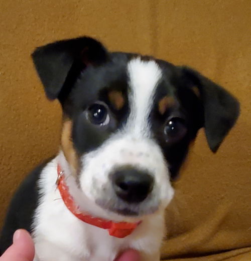 Charlie