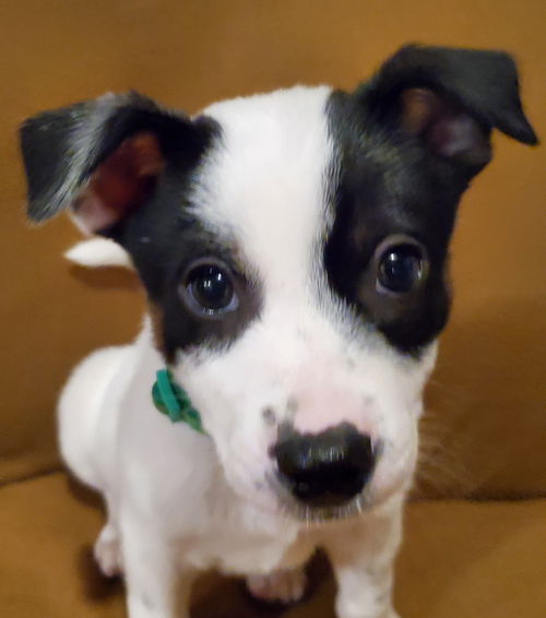 Casper