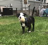 Kobe