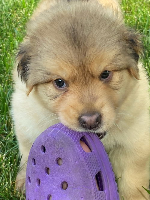Winnie