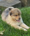 Winnie