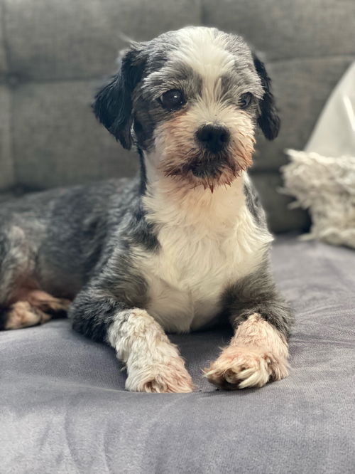 Roscoe