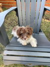 Jack