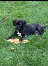 Mason