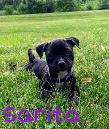 Sarita