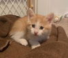 Marvin