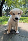 Tilly